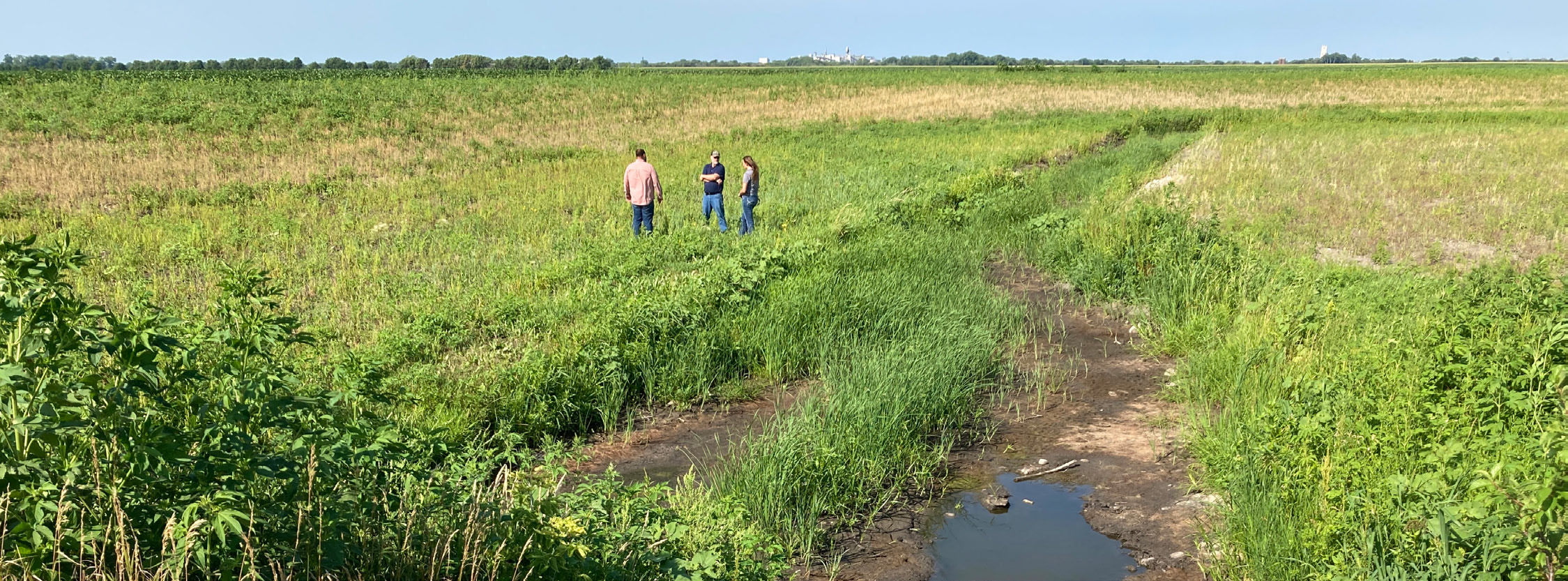A crew digging the new, remeandered channel of Whiskey Creek.